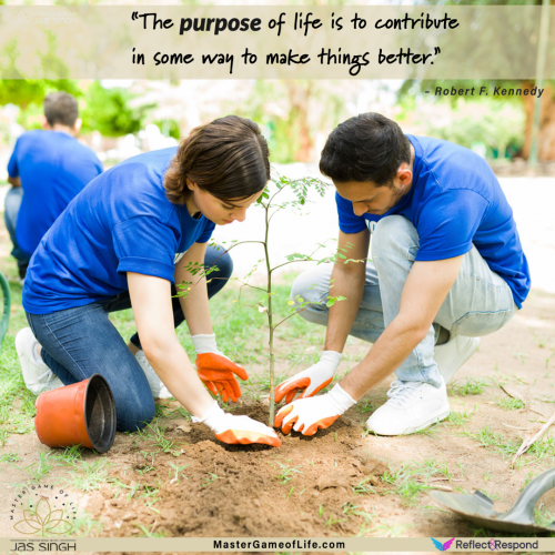 The purpose of life is to contribute in some way